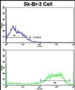ABI1 Antibody in Flow Cytometry (Flow)