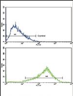AP2A2 Antibody in Flow Cytometry (Flow)