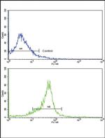 WNT5B Antibody in Flow Cytometry (Flow)