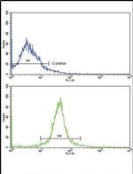 Adiponectin Receptor 1 Antibody in Flow Cytometry (Flow)