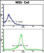 KLC1 Antibody in Flow Cytometry (Flow)