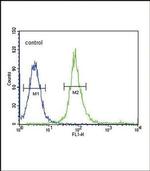 SNAIL Antibody in Flow Cytometry (Flow)