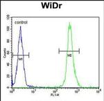 VPS26A Antibody in Flow Cytometry (Flow)