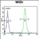 Annexin A7 Antibody in Flow Cytometry (Flow)