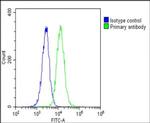 HSPA7 Antibody in Flow Cytometry (Flow)