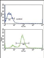 BMI-1 Antibody in Flow Cytometry (Flow)