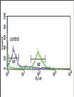 DCI Antibody in Flow Cytometry (Flow)