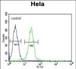 EWSR1 Antibody in Flow Cytometry (Flow)
