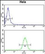 UHRF1 Antibody in Flow Cytometry (Flow)