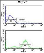 gamma Catenin Antibody in Flow Cytometry (Flow)