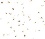 ZNF821 Polyclonal Antibody