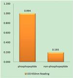Phospho-TSC2 (Tyr1571) Antibody