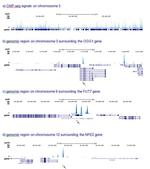 RUNX1T1 Antibody in ChIP-Sequencing (ChIP-seq)