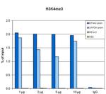 H3K4me3 Antibody in ChIP Assay (ChIP)