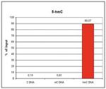 5-hydroxymethylcytosine Antibody in Immunoprecipitation (IP)