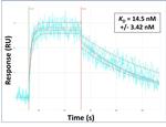 SRRM2 Antibody in Surface plasmon resonance (SPR)
