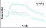 TBX1 Antibody in Surface plasmon resonance (SPR)