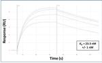 TRIM31 Antibody in Surface plasmon resonance (SPR)