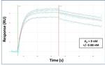 LARP6 Antibody in Surface plasmon resonance (SPR)