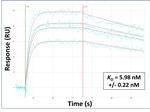 TSPAN5 Antibody in Surface plasmon resonance (SPR)