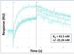 MT-ND6 Antibody in Surface plasmon resonance (SPR)