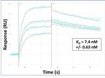 Activin A Antibody in Surface plasmon resonance (SPR)