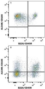 CD166 Antibody in Flow Cytometry (Flow)