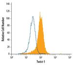 TWIST1 Polyclonal Antibody, FITC