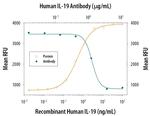 IL-19 Antibody in Neutralization (Neu)