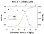 IL-19 Antibody