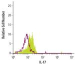 IL-17A Polyclonal Antibody