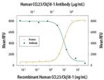 CCL23 Antibody