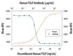 TSLP Antibody
