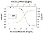 IL-27 Antibody