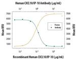 CXCL10 Antibody