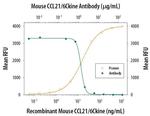CCL21 Antibody