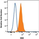 H60 Polyclonal Antibody