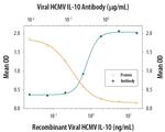 HCMV IL-10 Polyclonal Antibody