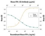 IFNGR2 Antibody in Neutralization (Neu)