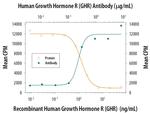 Growth Hormone Receptor Polyclonal Antibody