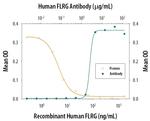 FLRG Polyclonal Antibody