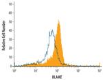 SLAMF8 Antibody in Flow Cytometry (Flow)