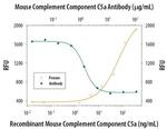 Complement C5a Antibody