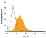 IL17RC Polyclonal Antibody