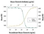 Chemerin Antibody