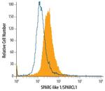 SPARCL1 Antibody in Flow Cytometry (Flow)