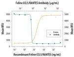 CCL5 (RANTES) Polyclonal Antibody