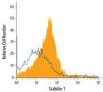 Stabilin 1 Polyclonal Antibody
