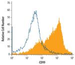 CD99 Antibody in Flow Cytometry (Flow)