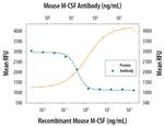 M-CSF Polyclonal Antibody